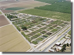 Sunland Nursery From Above